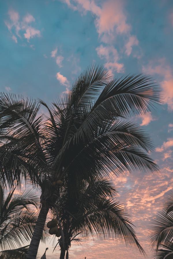 Makani Vichayito Buitenkant foto